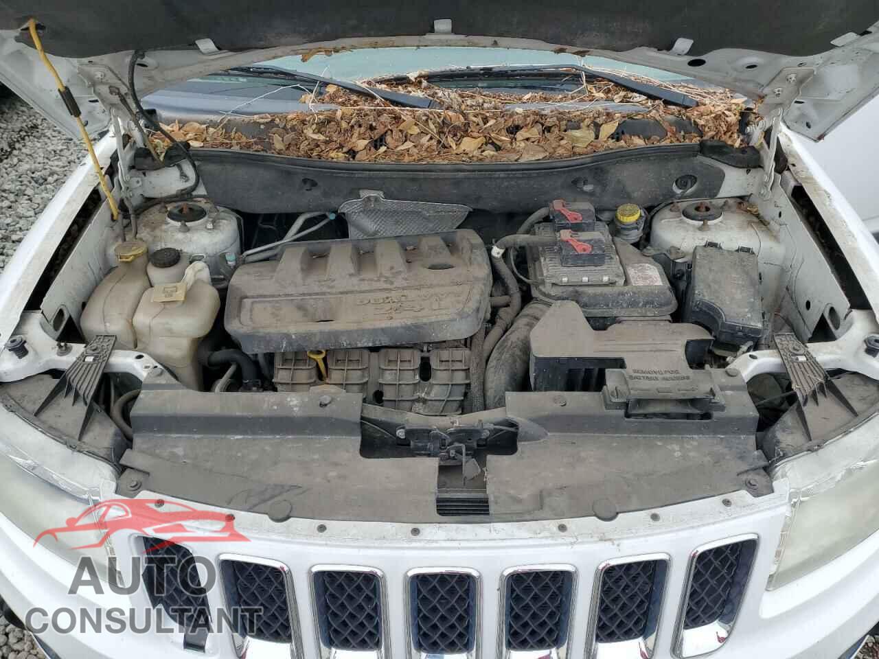 JEEP COMPASS 2011 - 1J4NF1FB0BD169802