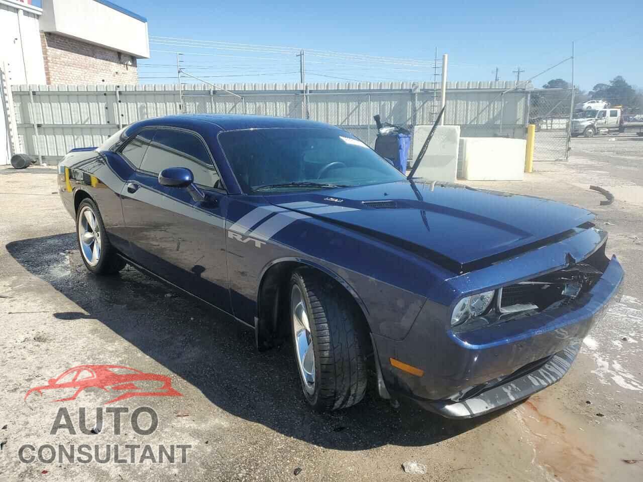 DODGE CHALLENGER 2013 - 2C3CDYBT3DH611444