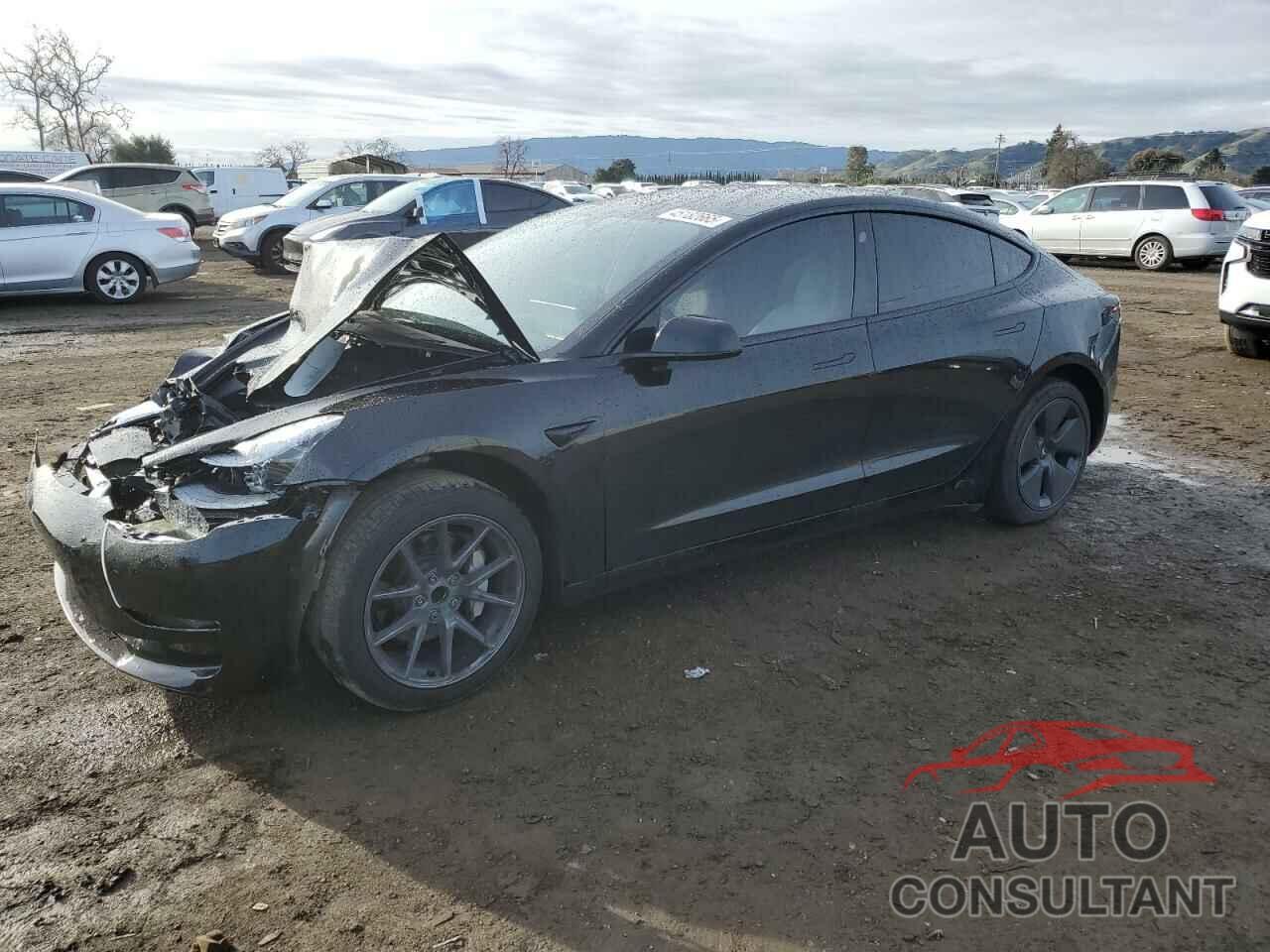 TESLA MODEL 3 2023 - 5YJ3E1EA5PF695044