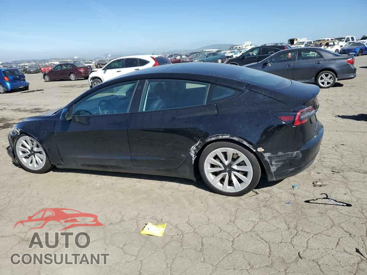 TESLA MODEL 3 2021 - 5YJ3E1EA1MF076792