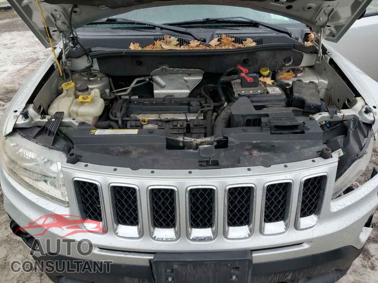 JEEP COMPASS 2011 - 1J4NT1FA8BD289556