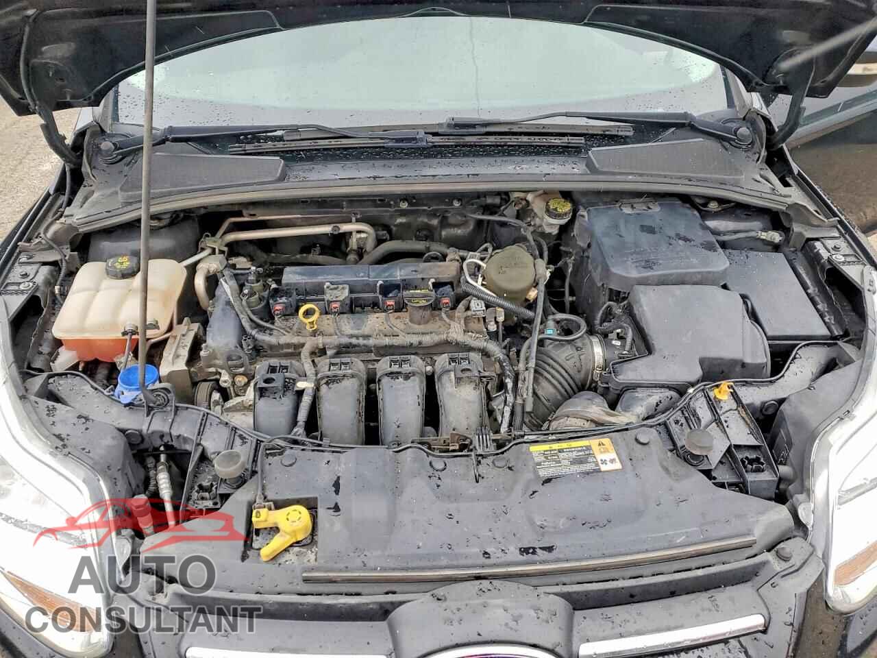 FORD FOCUS 2014 - 1FADP3F26EL136877