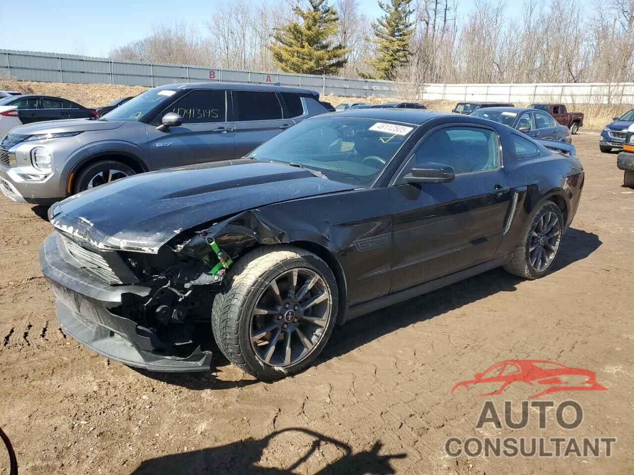 FORD MUSTANG 2011 - 1ZVBP8CF3B5170035