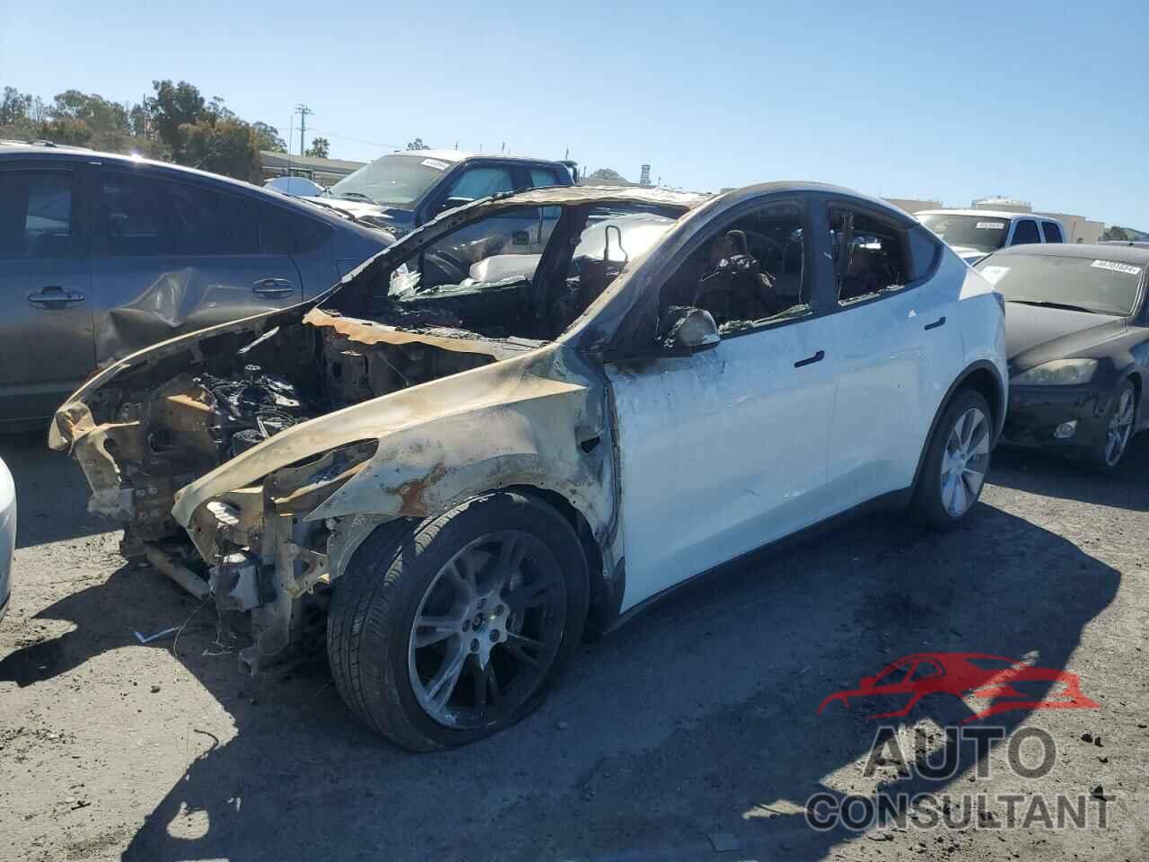 TESLA MODEL Y 2022 - 7SAYGDEE4NF513824