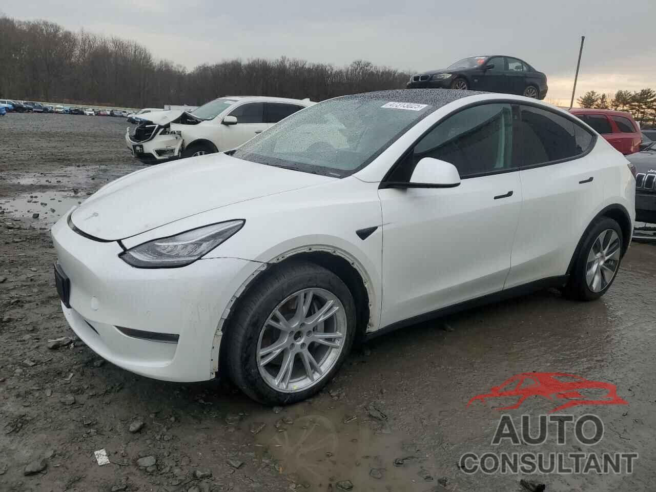 TESLA MODEL Y 2020 - 5YJYGDEE2LF035980