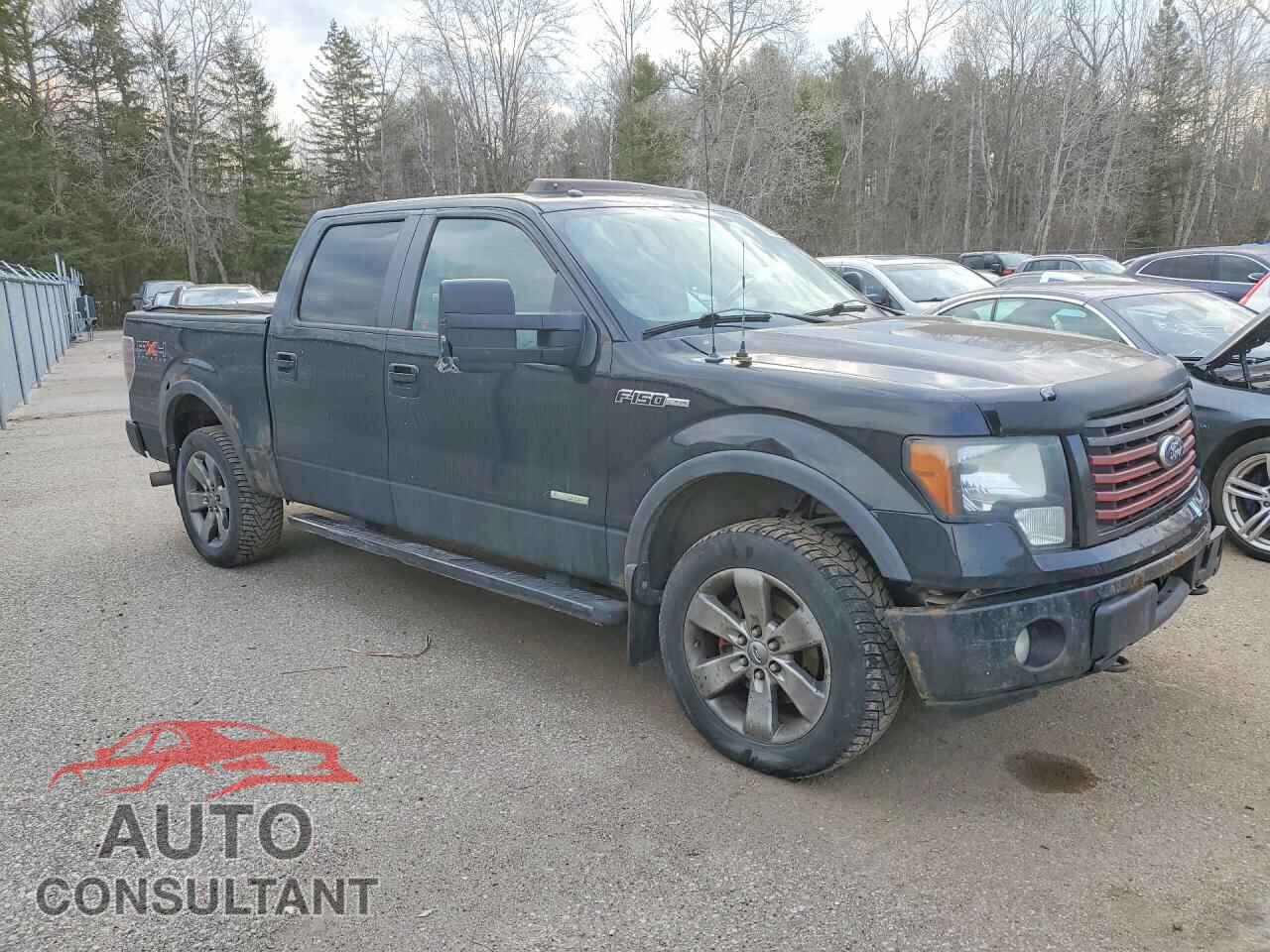 FORD F150 2011 - 1FTFW1ET1BFA52786