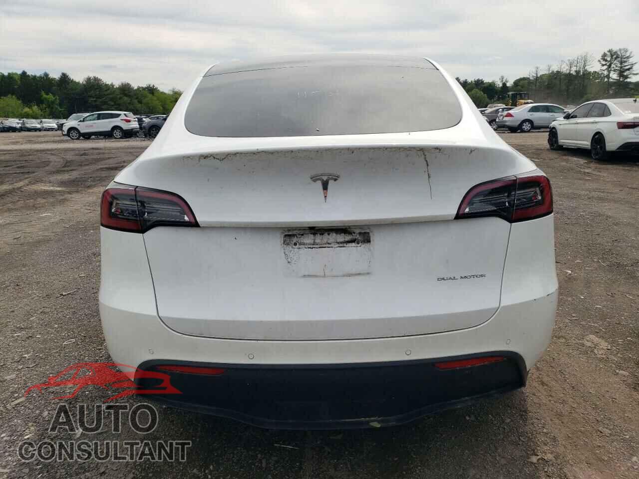 TESLA MODEL Y 2022 - 7SAYGAEE2NF359242