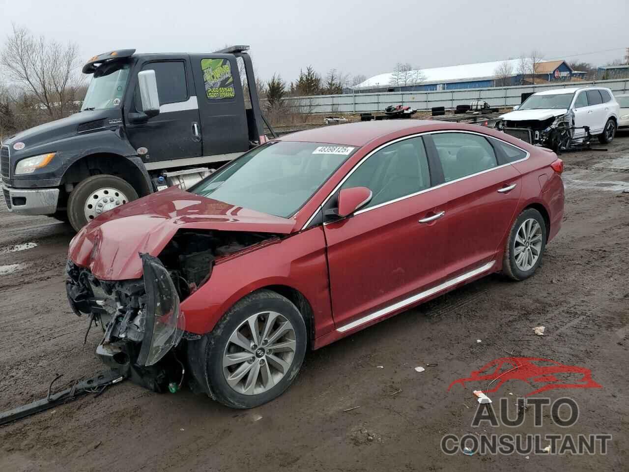 HYUNDAI SONATA 2015 - 5NPE34AF8FH243834