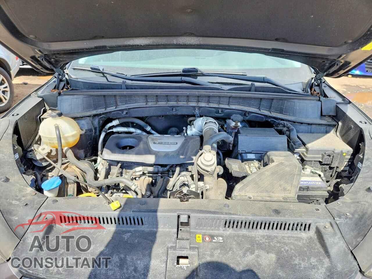 HYUNDAI TUCSON 2016 - KM8J3CA25GU073232