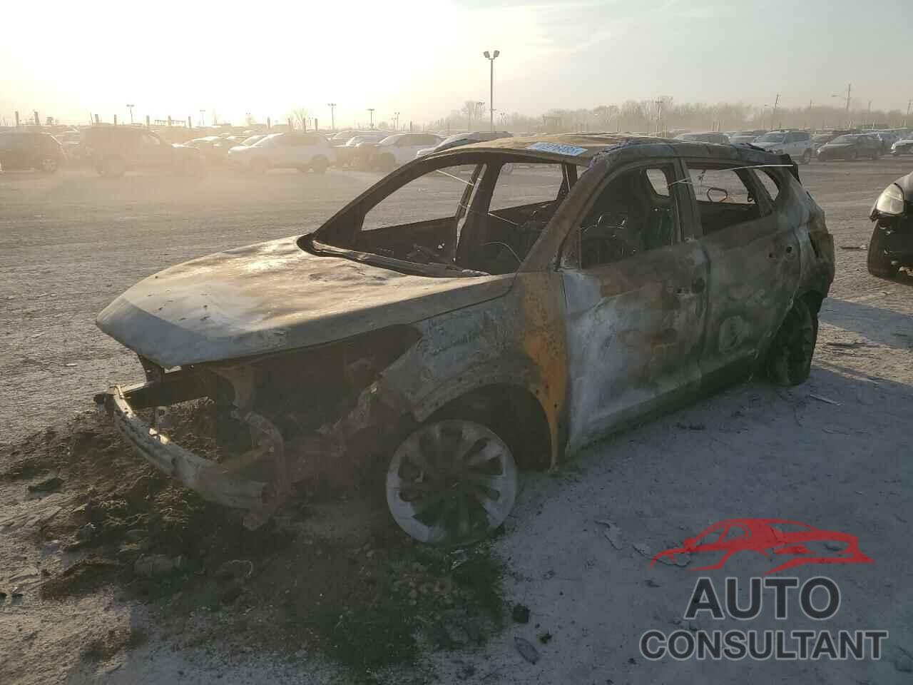 HYUNDAI TUCSON 2017 - KM8J3CA43HU405090