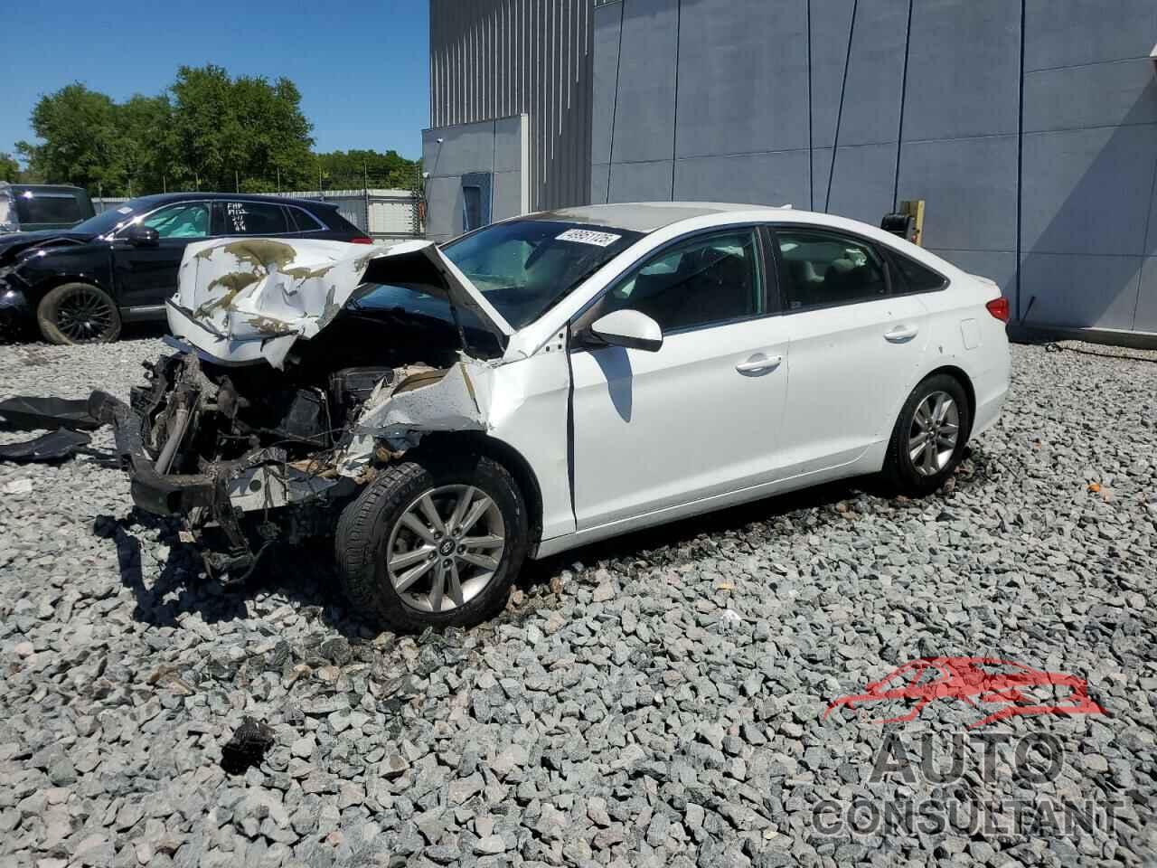 HYUNDAI SONATA 2016 - 5NPE24AF2GH388050