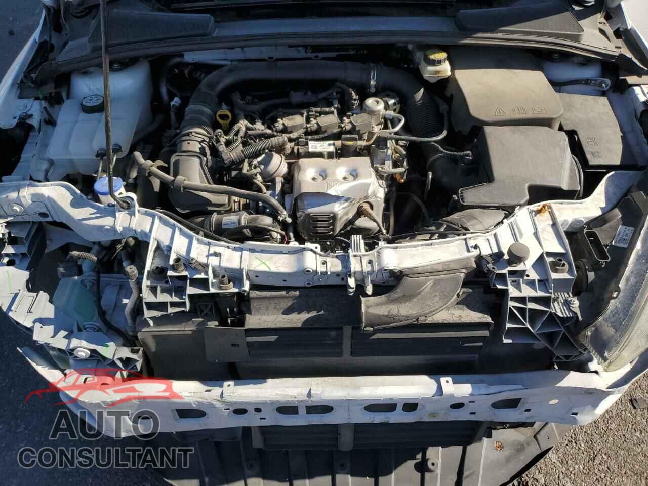 FORD FOCUS 2017 - 1FADP3FEXHL292998