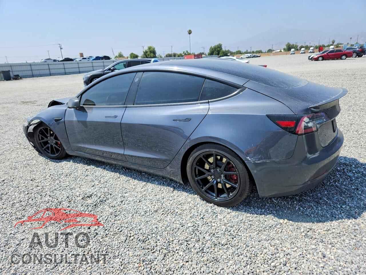 TESLA MODEL 3 2019 - 5YJ3E1EB3KF205492