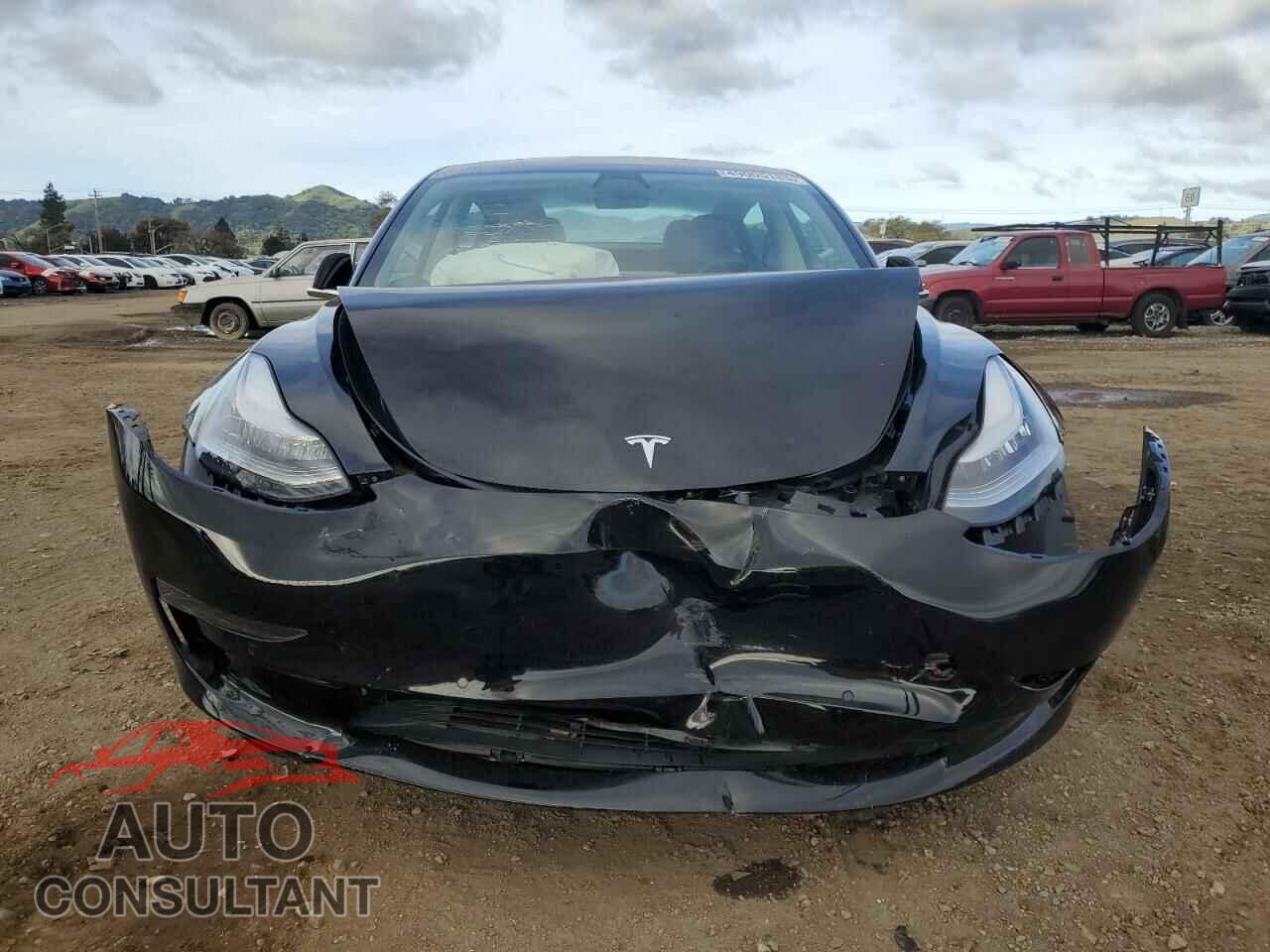 TESLA MODEL 3 2019 - 5YJ3E1EA3KF399335