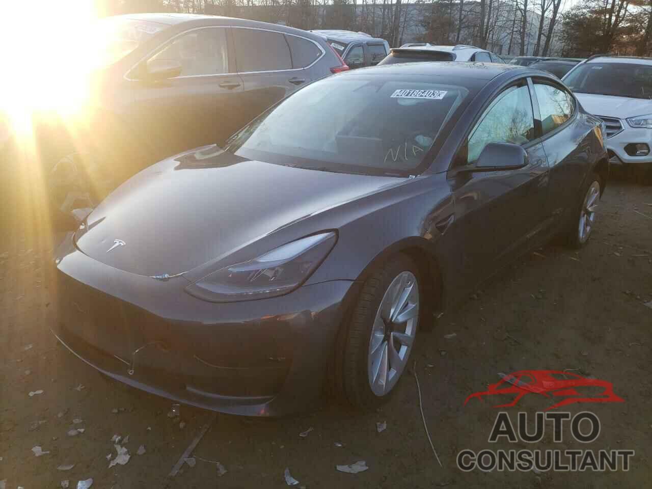 TESLA MODEL 3 2022 - 5YJ3E1EB2NF289731