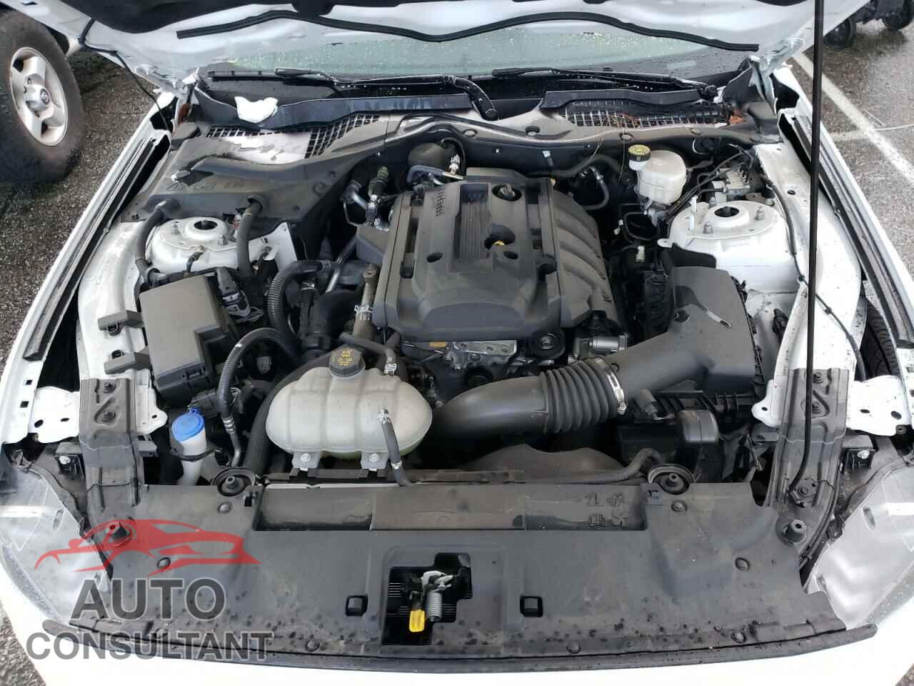 FORD MUSTANG 2020 - 1FA6P8TH9L5133908
