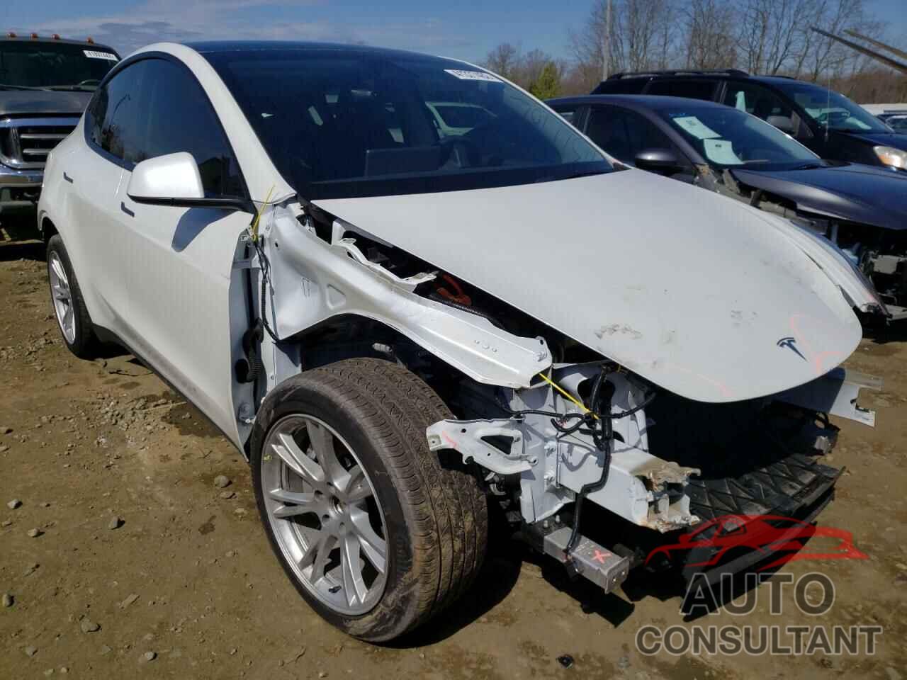 TESLA MODEL Y 2021 - 5YJYGDEE1MF099817
