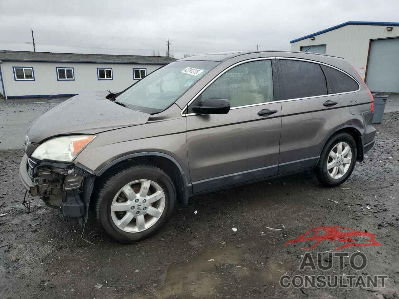 HONDA CRV 2009 - 5J6RE48529L028534