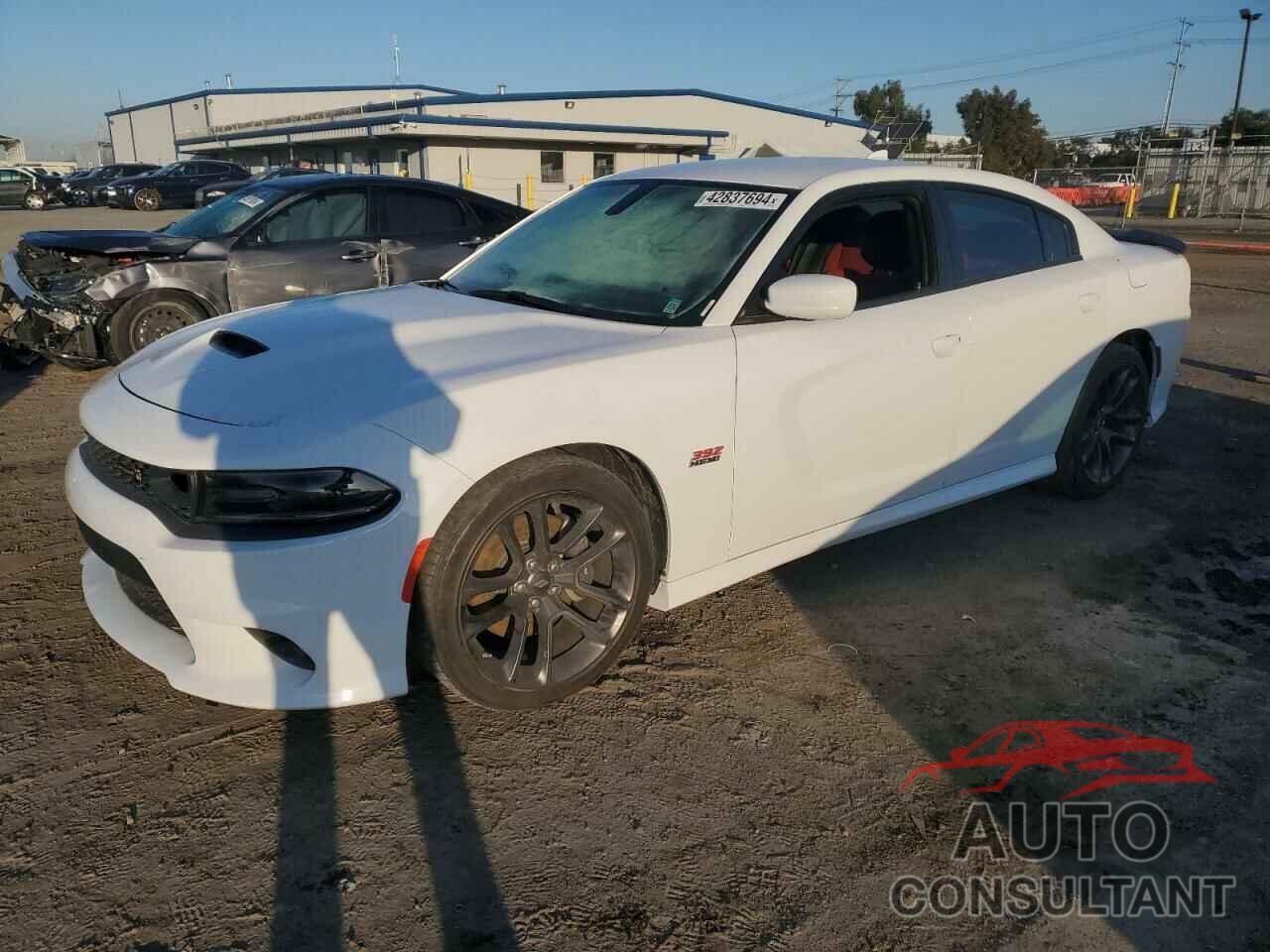 DODGE CHARGER 2020 - 2C3CDXGJ6LH244264