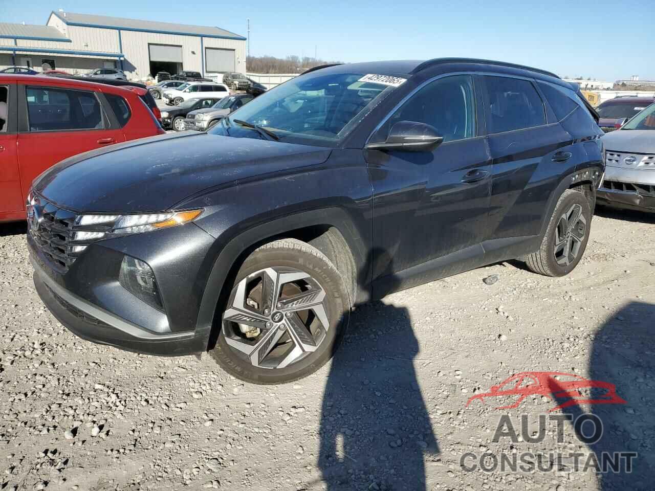 HYUNDAI TUCSON 2024 - 5NMJFCDE2RH336787