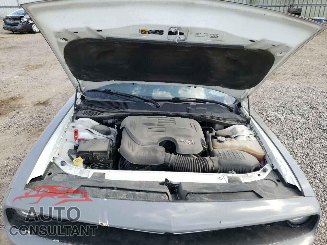 DODGE CHALLENGER 2019 - 2C3CDZAG0KH525483