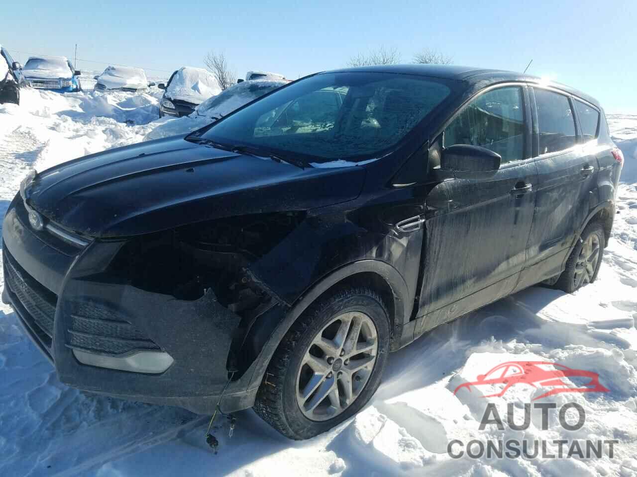 FORD ESCAPE 2016 - 1FMCU9GX9GUA00327