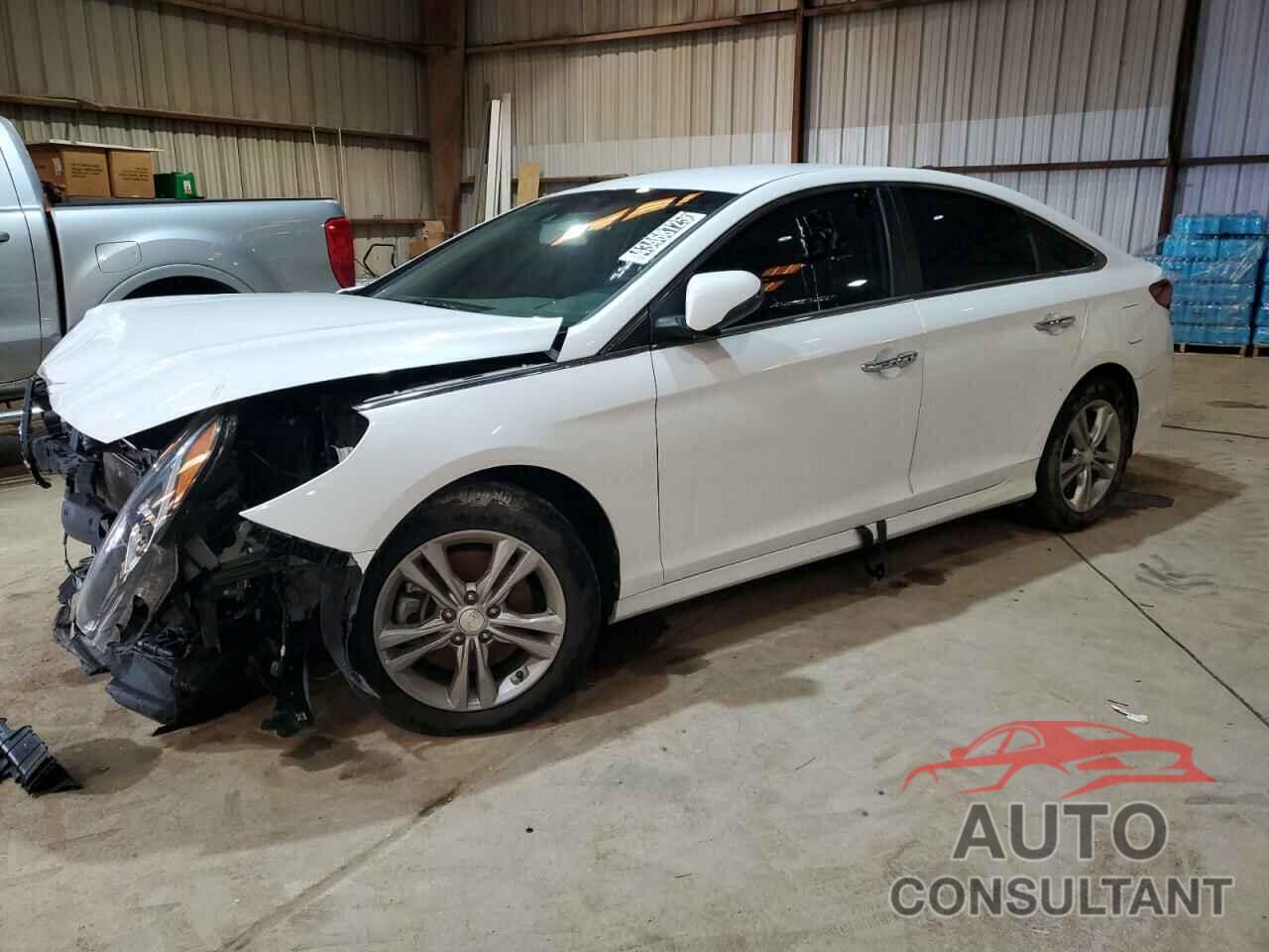 HYUNDAI SONATA 2019 - 5NPE34AF3KH781030