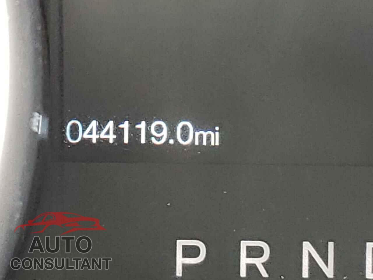 FORD MUSTANG 2019 - 1FA6P8TH5K5130275