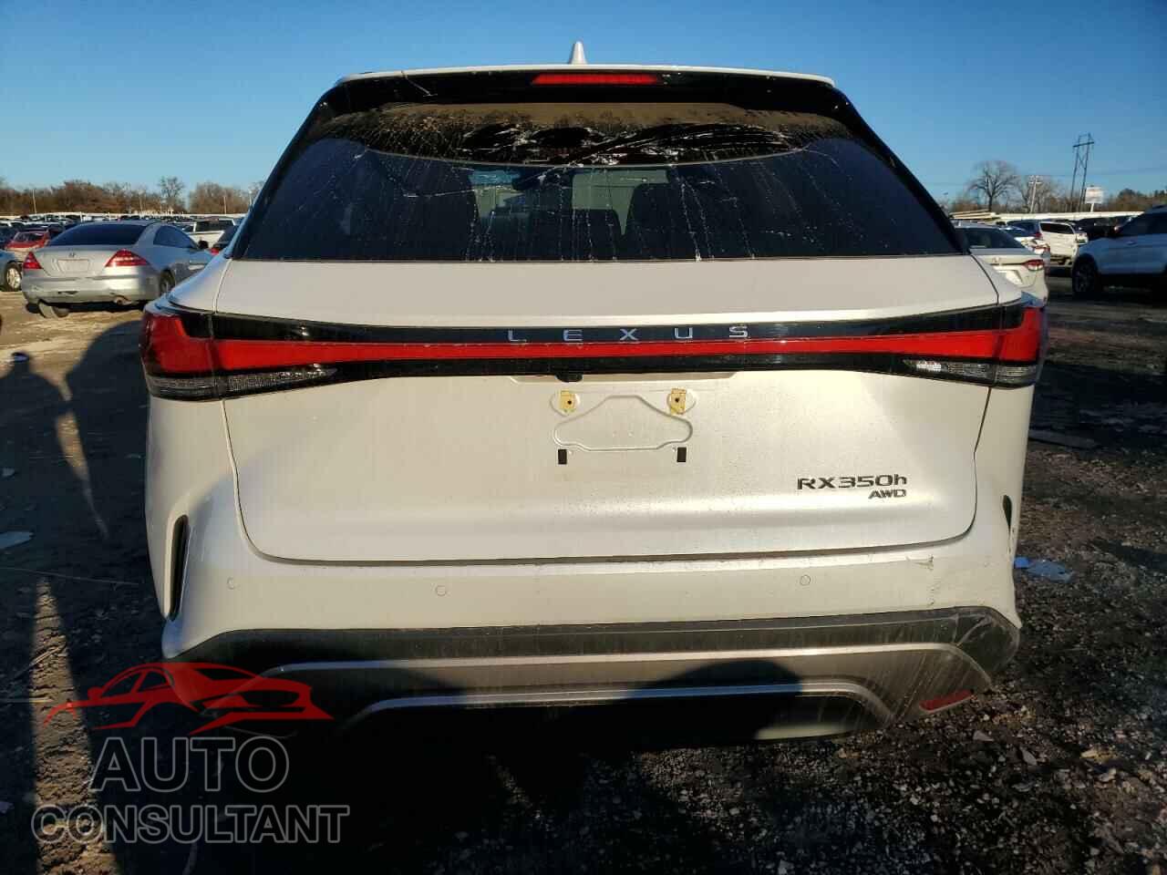 LEXUS RX 350H BA 2024 - 2T2BBMCA2RC025740