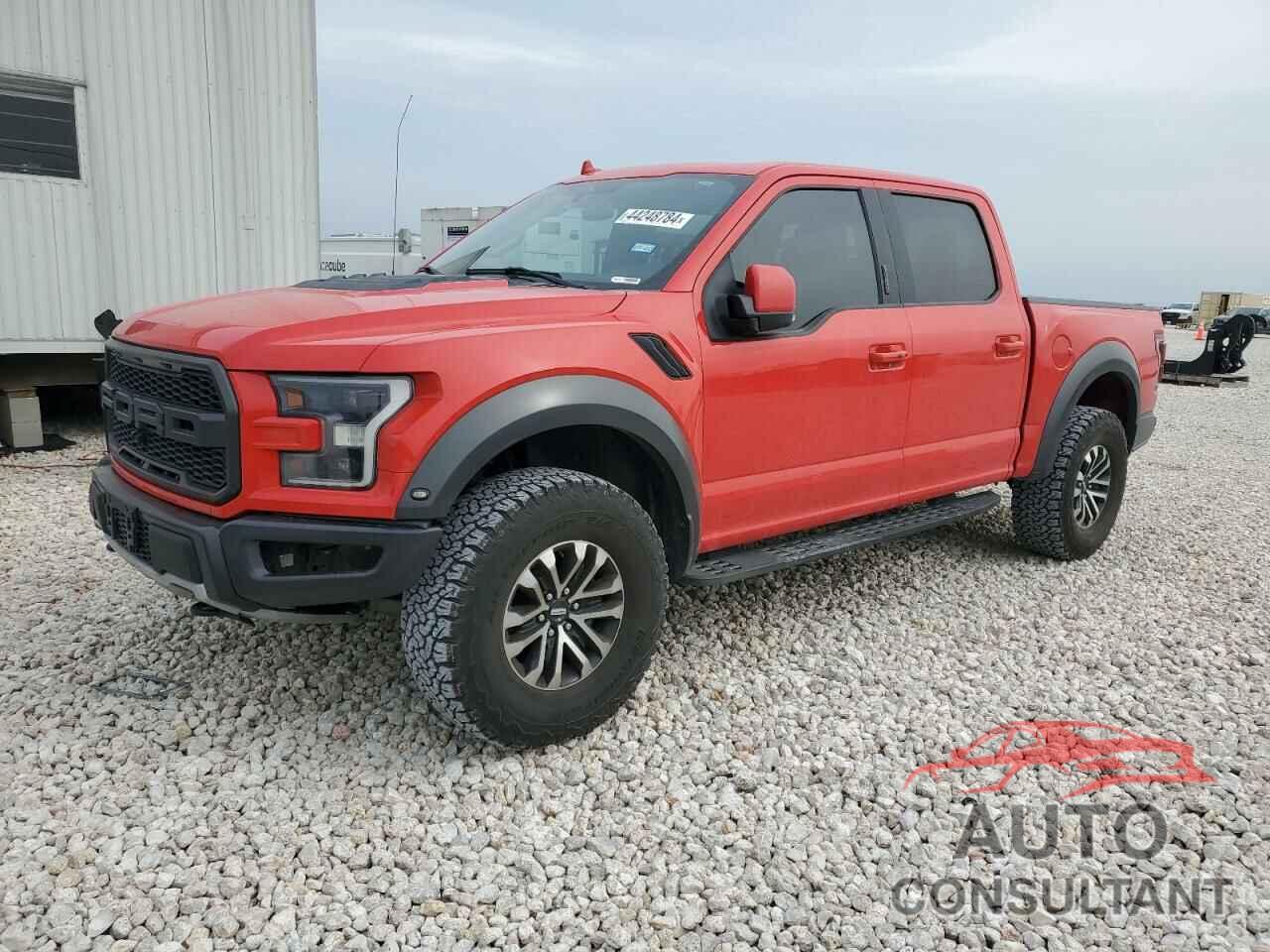 FORD F150 2019 - 1FTFW1RG5KFD17917