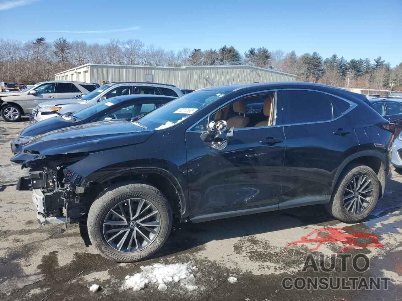 LEXUS NX 350 BAS 2024 - 2T2AGCEZ2RC046341