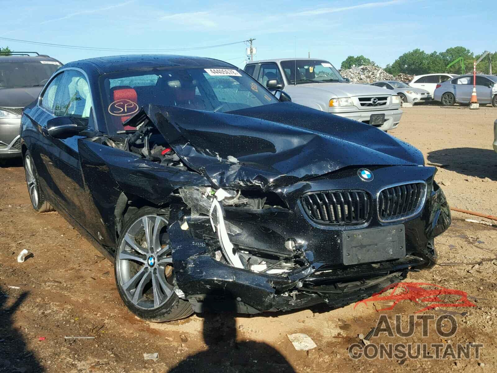 BMW 228 XI 2016 - WBA1G9C53GVX97138