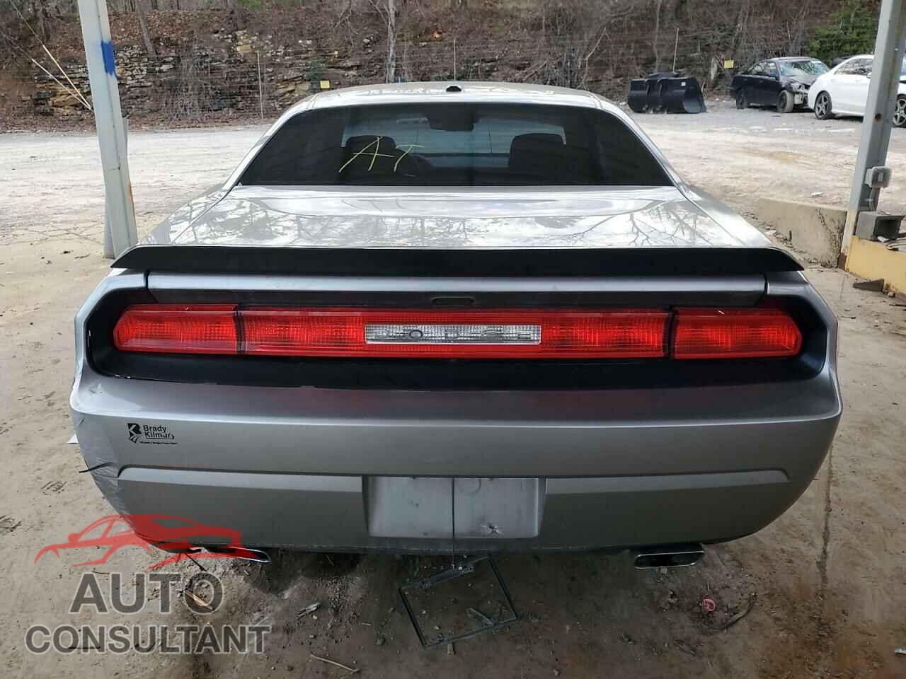 DODGE CHALLENGER 2014 - 2C3CDYBT7EH137189