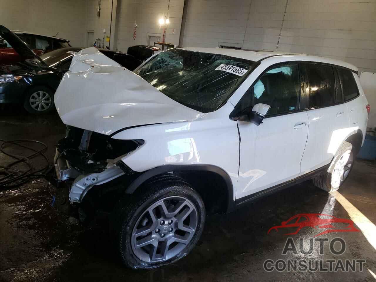 HONDA PASSPORT 2023 - 5FNYF8H52PB024554