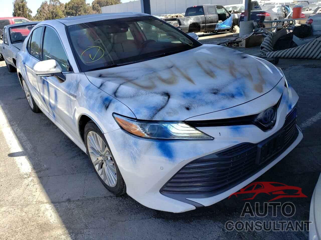 TOYOTA CAMRY 2019 - 4T1B21HK8KU010295