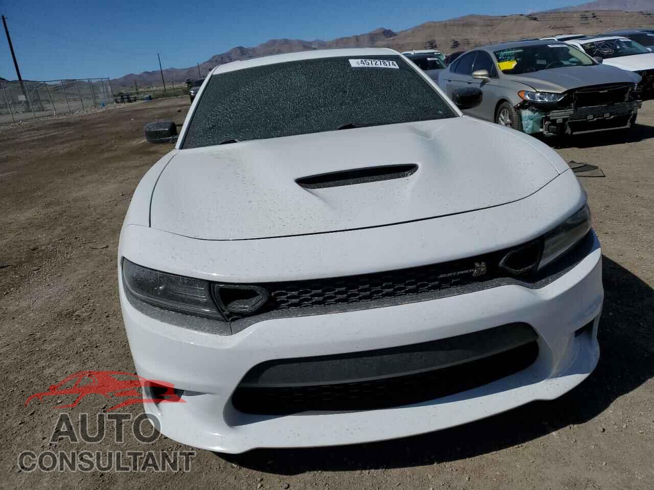 DODGE CHARGER 2019 - 2C3CDXGJ4KH519189