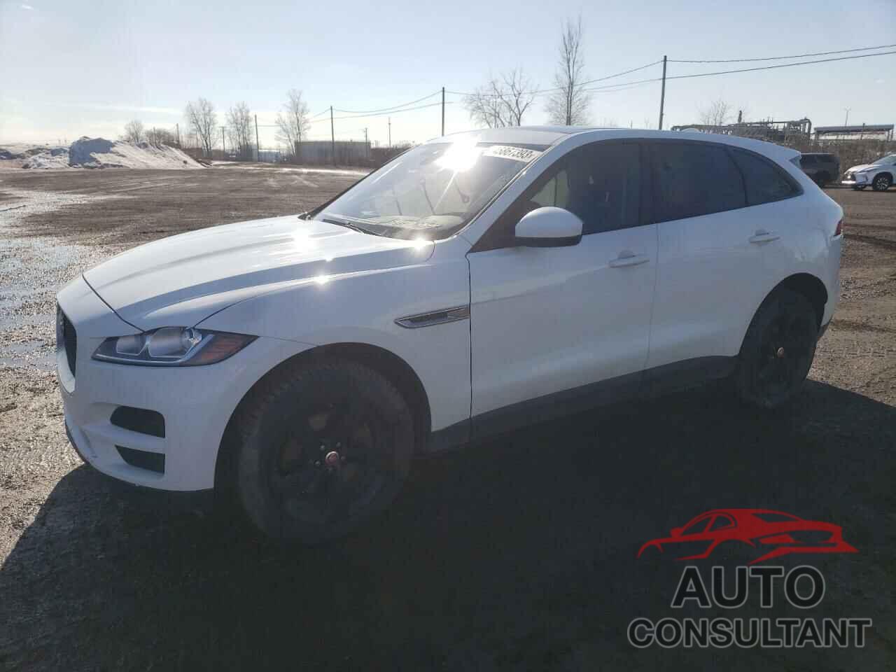 JAGUAR F-PACE 2017 - SADCJ2BV2HA892986