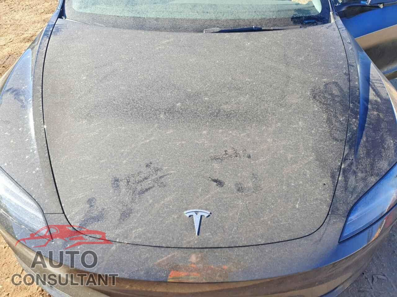 TESLA MODEL 3 2025 - 5YJ3E1EA9SF983366