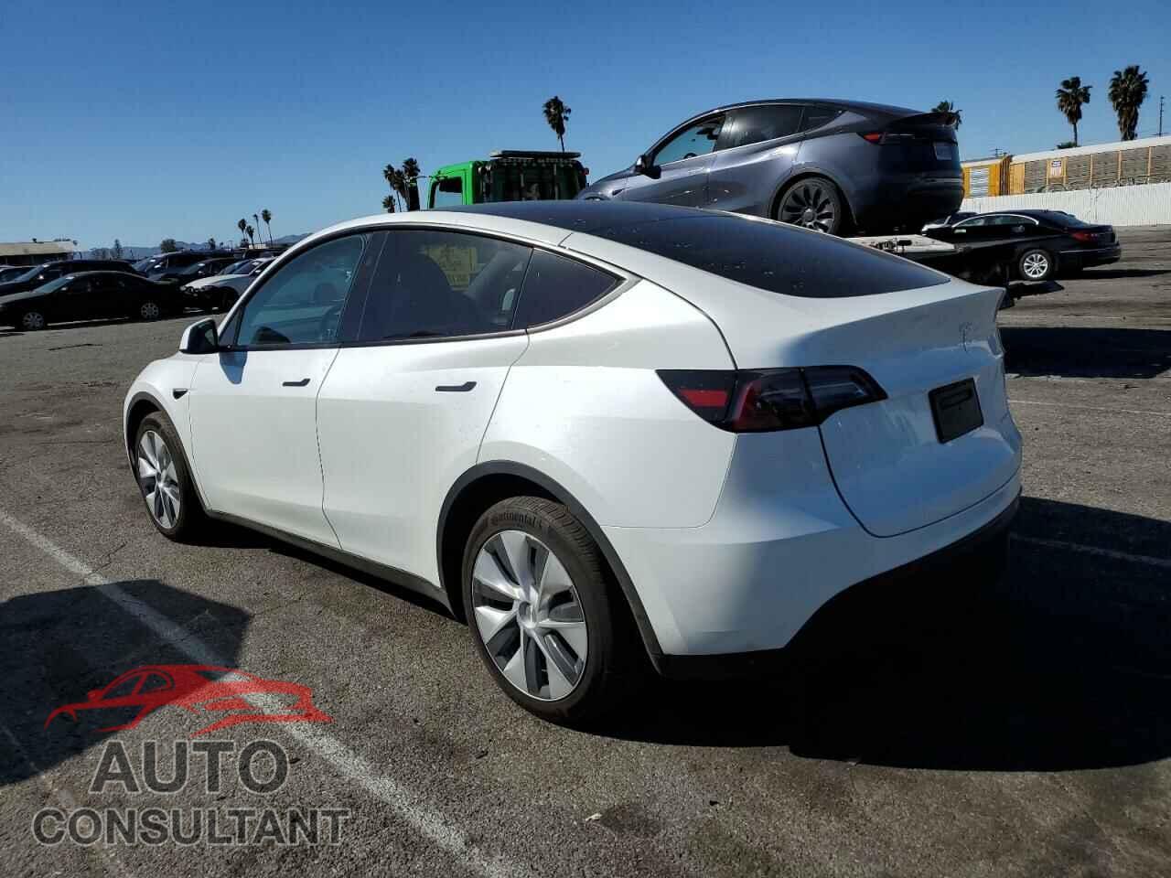 TESLA MODEL Y 2024 - 7SAYGDEE7RF076424