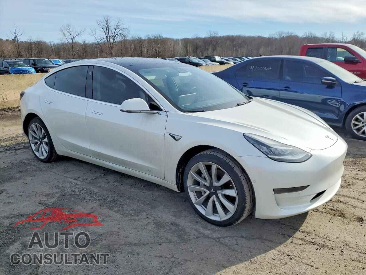 TESLA MODEL 3 2019 - 5YJ3E1EA8KF483960