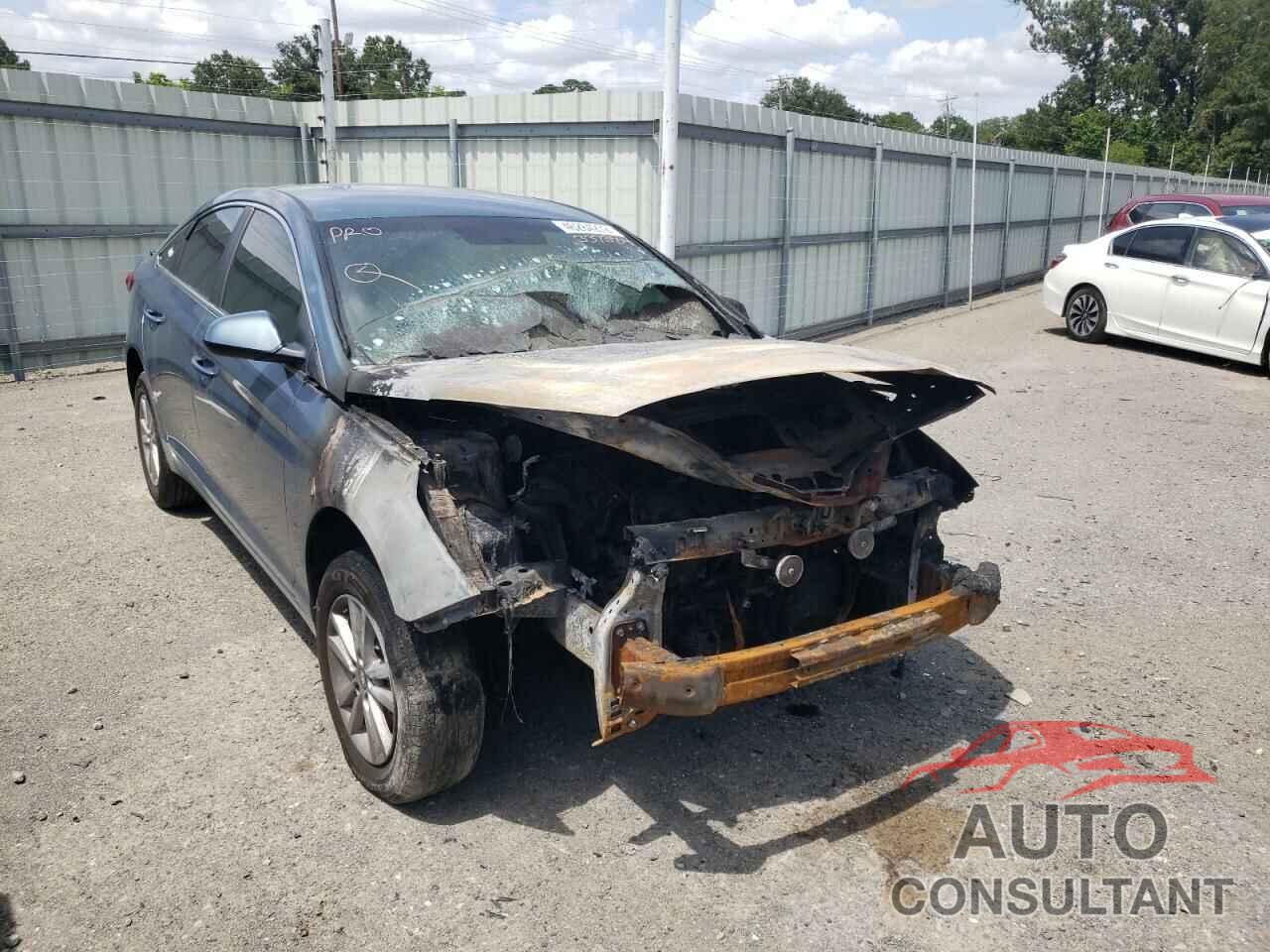 HYUNDAI SONATA 2016 - 5NPE24AF7GH337384