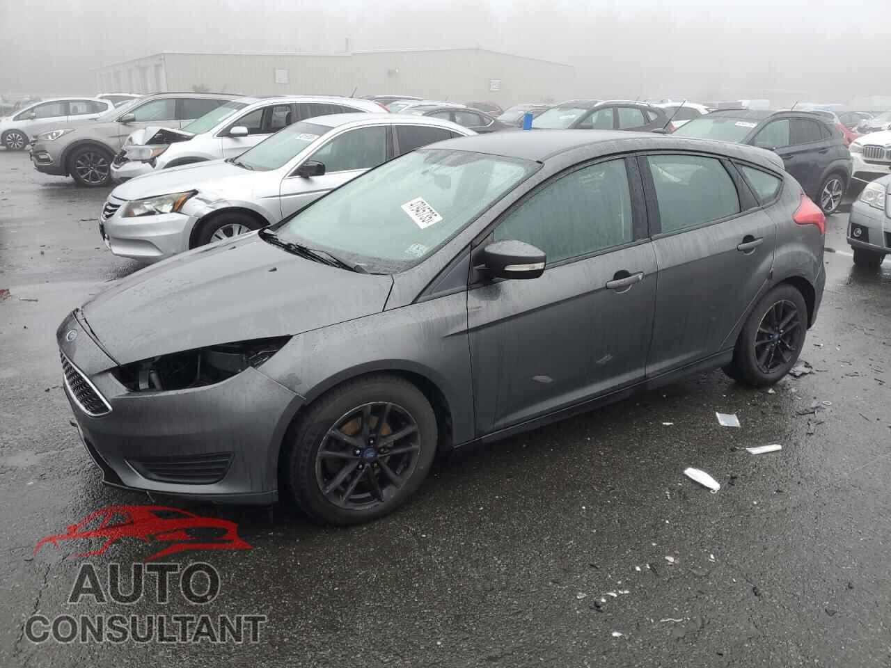 FORD FOCUS 2017 - 1FADP3K24HL316580