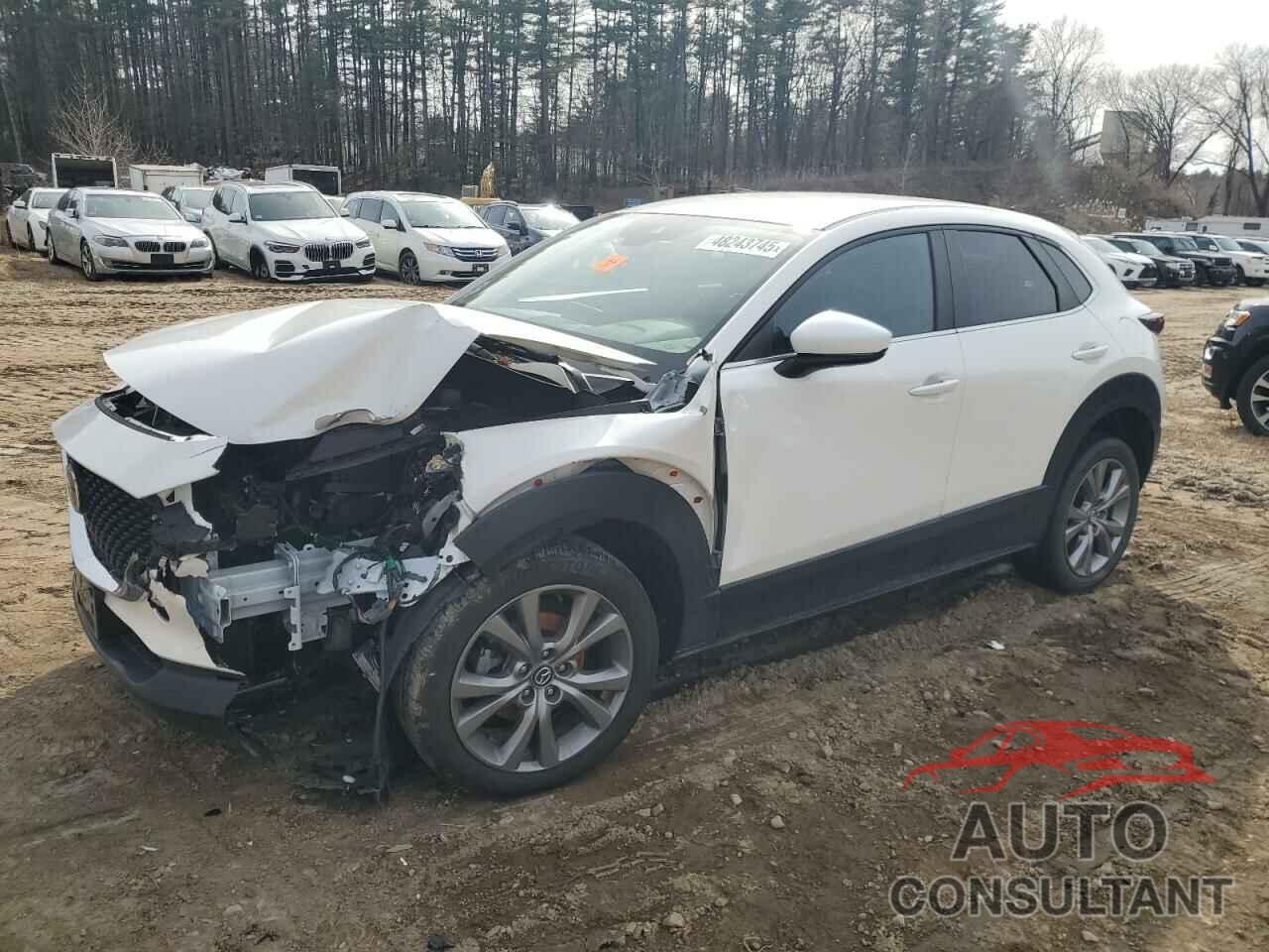 MAZDA CX30 2021 - 3MVDMBBL2MM257378