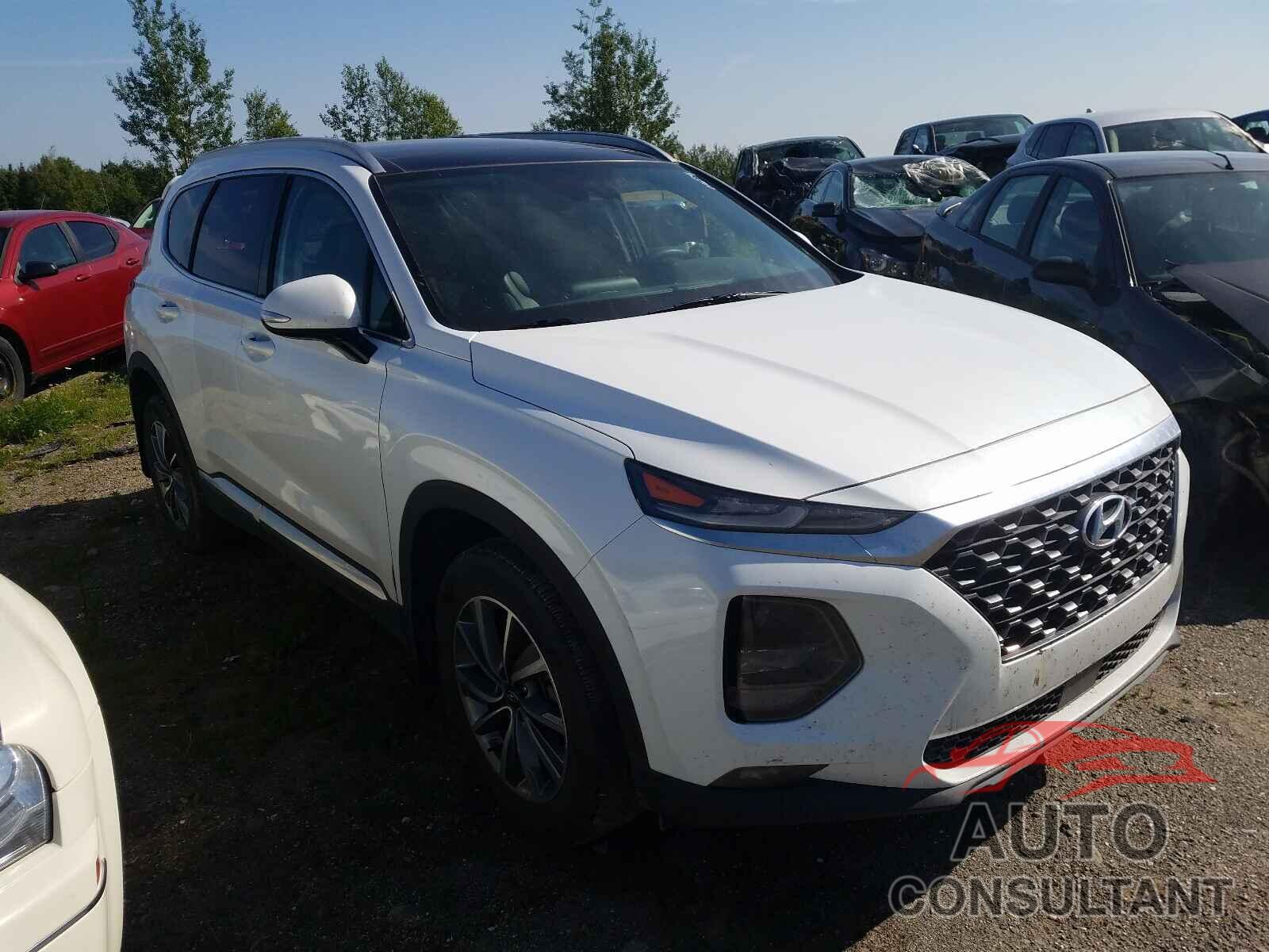 HYUNDAI SANTA FE 2020 - 5NMS3CAA9LH245019