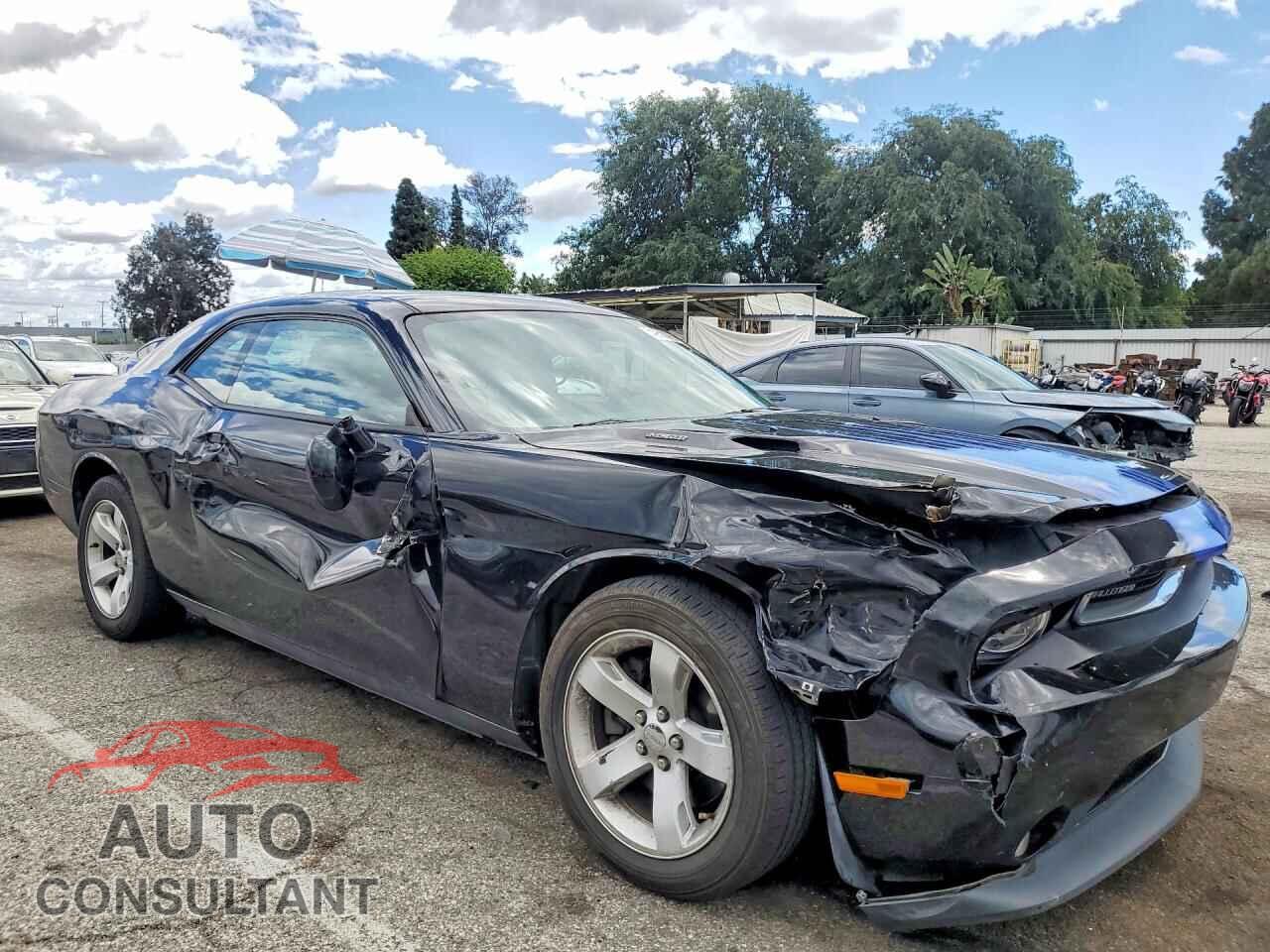 DODGE CHALLENGER 2012 - 2C3CDYBT7CH246491