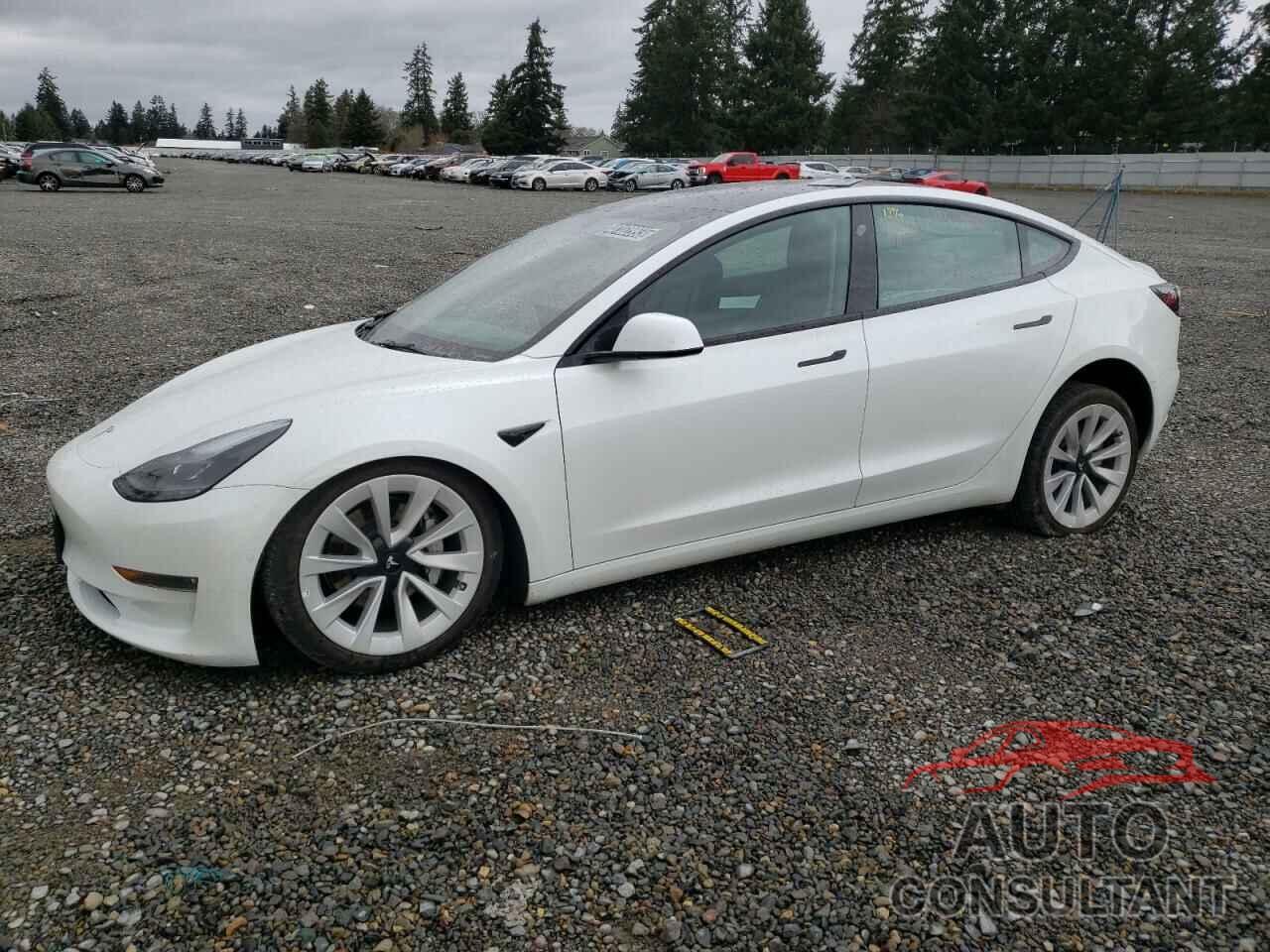 TESLA MODEL 3 2022 - 5YJ3E1EB8NF191691