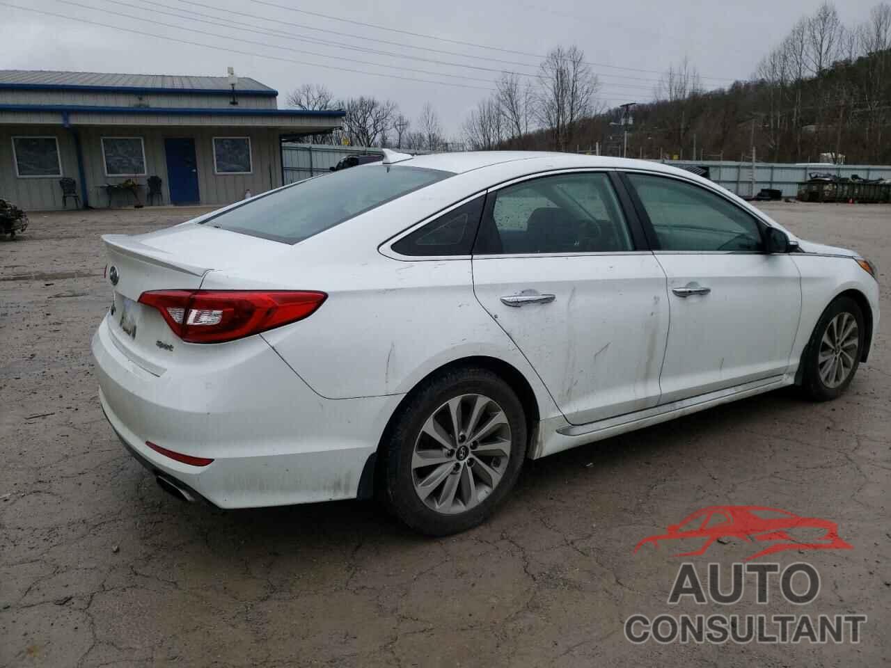 HYUNDAI SONATA 2017 - 5NPE34AF8HH556966