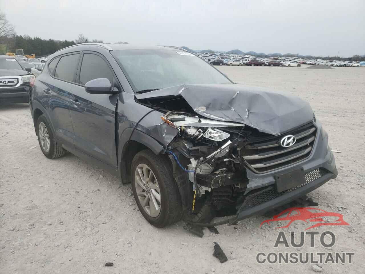 HYUNDAI TUCSON 2016 - KM8J33A49GU180429