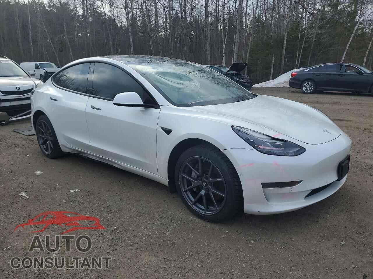 TESLA MODEL 3 2021 - 5YJ3E1EA3MF031983