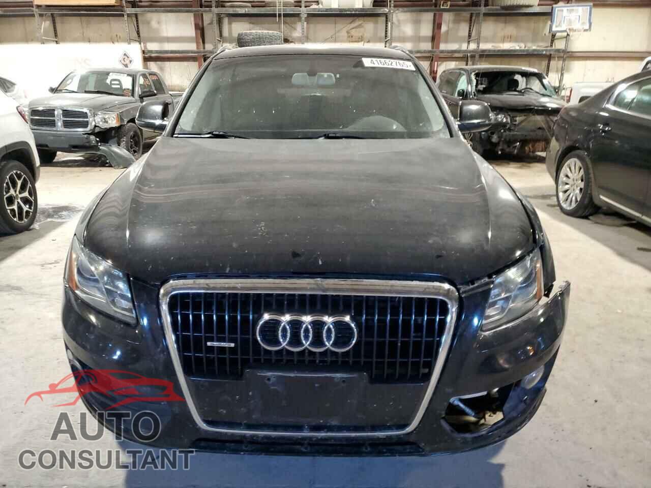 AUDI Q5 2010 - WA1LKAFP4AA093080